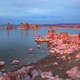 Mono Lake. (Image: Floris van Breugel)